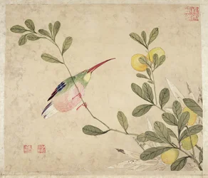 Una de una serie de pinturas de aves y frutas, finales del siglo XIX